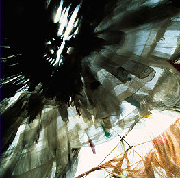 黑人巨大开小嫩苞｜科技美学巨兽，豪华驾乘新境界-1