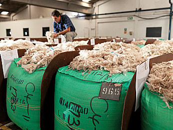 富二代绿软|环保动力新潮流,富二代专属车款引关注-1