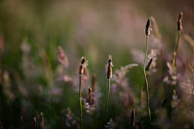人人爽爽人人|新能源汽车领航未来:创新科技“人人爽爽”概念车型惊艳亮相,绿色出行新篇章即将开启-2