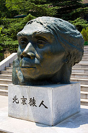 软件下载3.0.3免费破解大全｜汽车爱好者福音：破解版“神软件”助力车辆轻松升级-1