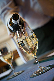 3000部幼儿视频｜育儿乐享，汽车情缘，亲子互动新篇章-1