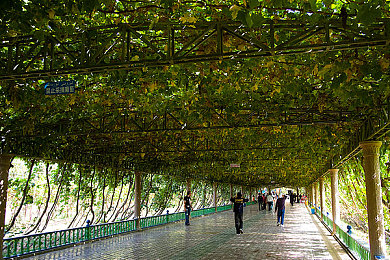 雷电将军裸身被 羞羞照片｜“闪电造型，性能卓越，雷电将军概念车：颠覆传统，引领未来风潮”-5