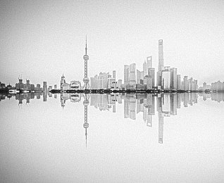 向日葵色板｜阳光动力新潮来袭，向日葵色彩汽车引领环保时尚潮流-4