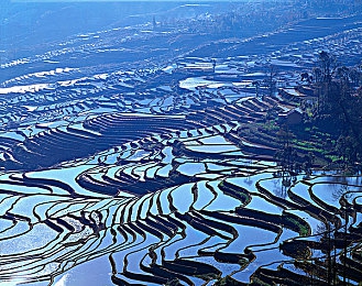 天美麻豆|时尚动感新宠来袭:中型轿车天美麻豆引领市场新潮流,性能与智能配置双丰收,满足多样化出行需求-1
