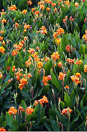 李梓熙被香港猥琐摄影师捆绑｜娱乐圈风波：影星权益遭侵犯，摄影师不雅行为引发行业关注-2