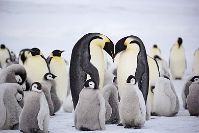 禁18|政策新航标,购车新视角,汽车市场未来可期-2