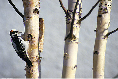 五年沉淀只做精品|创新设计铸就口碑,匠心打造全新车型引行业关注,汽车巨头引领未来潮流-1