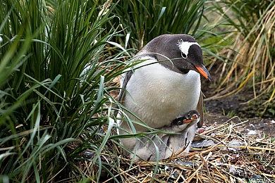 xxsm|“全新力作震撼登场!极致性能与智能科技,这款车型将引领绿色出行新潮流”-1