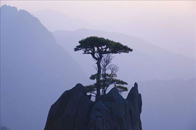 tiktok色板1.21.3|智领潮流,匠心独运,未来出行新纪元-3