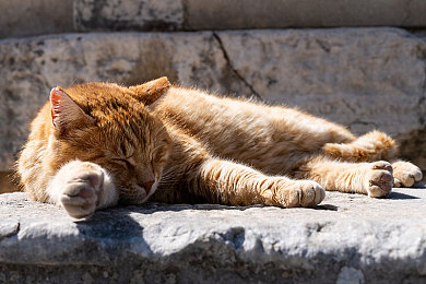 神里绫华焯出白水该如何处理|“时尚水波流动,神车魅力再升级——探索创新设计汽车之路”-1
