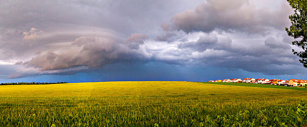 黄色软件app大全免费下载2023安装手机版｜导航保养一网打尽，汽车生活从此无忧-1