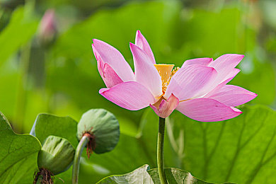 黄色观看|科技领航,智能出行:引领未来绿色出行新潮流-2