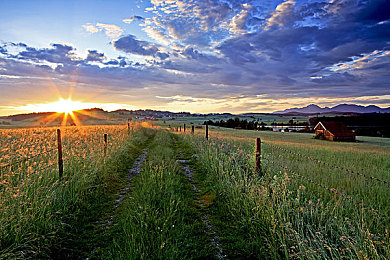 黄色程序｜智能驾驶新篇章：我国“黄色程序”系统引领汽车行业迈向绿色环保出行新时代，体验前所未有的便捷与安全-1