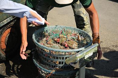 黄色app软件下载大全免费下载安装|汽车生活新体验:热门APP推荐,轻松驾驭智能出行世界-1