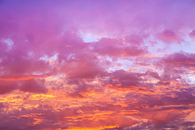 绿意盎然海角侄子25.0婚礼|绿色出行新风尚,海角25.0婚礼倡导环保时尚之旅-4