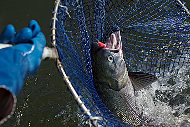 天天操一操|汽车保养攻略:五大关键步骤,让爱车活力四射,安全无忧-2