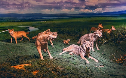 一个好妈妈8字|汽车选购指南:安全舒适环保智能,打造家庭出行温馨守护神-2