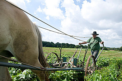 天天做天天爽|驰骋未来,畅享驾驭新境界-1