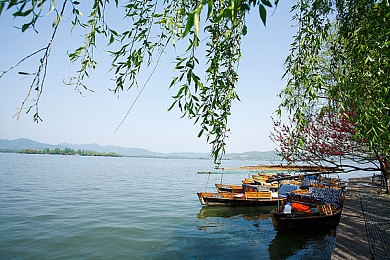 美女裸身软件|AI赋能汽车行业新潮流:颠覆传统展示,虚拟美女解析性能盛宴-3