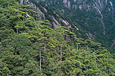 欧美寡妇性猛交ⅩXXX|惊艳发布:挑战视觉极限的猛兽级新车,驾乘体验全面升级-1