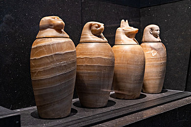 丽莎安vs黑鬼｜中型轿车优雅对决紧凑SUV硬汉，丽莎安与黑鬼巅峰较量谁将问鼎？-1