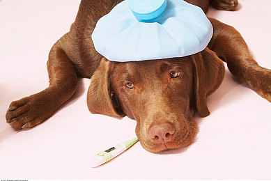 五月天色婷婷丁香|新能源汽车销量激增,智能化加速,汽车金融助力行业新篇章-3