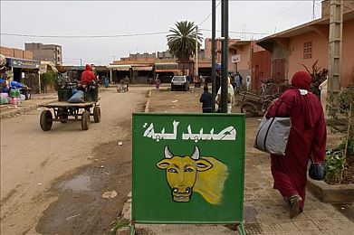 快灬快灬 一下爽蜜桃动漫|新能源汽车浪潮涌动,技术革新引领未来出行变革-2