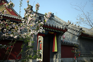 汤姆叔叔提示温馨提醒30|都市行车安全指南:30招助你远离风险,安全驾驶每一天-3