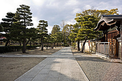 一个人看的视频｜颠覆传统审美的智能科技新能源车惊艳亮相，未来出行新选择备受期待-3