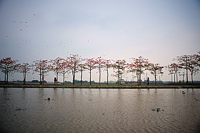 丁丁一进一出｜时尚外观与智能科技并存，丁丁新车上市引领汽车市场新潮流-3