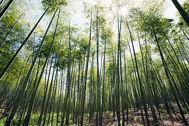 体罚室脱裙子撅着打屁股|“汽车安全新突破:知名品牌创新技术提升驾驶体验,紧急制动表现卓越”-1