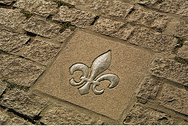 猫咪社区官网|新能源汽车领航者猫咪品牌,500公里续航,30分钟充电,引领未来出行潮流-1