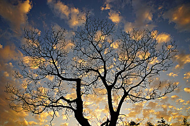 俄罗斯ZoomKOOLZoom|科技破浪,绿行未来,混动驰骋新篇章-2