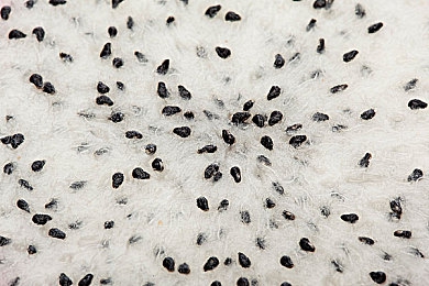 晚上禁止打开十大软件|夜间驾驶,安全守护,静音导航,智慧同行-1