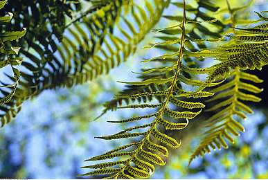 a1智能换脸一赵丽颖｜“AI换脸技术打造明星座驾，赵丽颖助力A1智能汽车引领潮流”-3