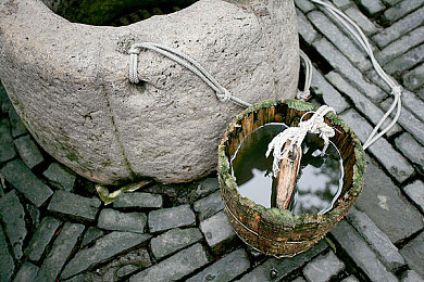 黄片404|智能蜂翼,绿驰未来,引领潮流新座驾-1