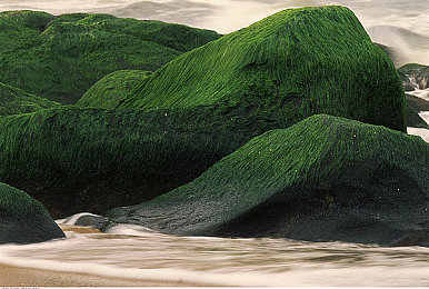 麻花传mdr免费版国语｜国产汽车新宠，性能卓越，价格亲民，引领市场新潮流-2