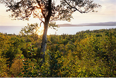 绿巨人app|汽车资讯新宠儿:一站式服务平台,绿巨人引领汽车生活新潮流-5