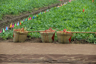 杨贵妃谭干聪,黄蓉版|华贵灵动,智驾星耀——新锐车型引领品质出行-1