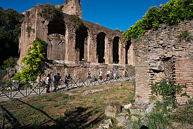 81个意外走7028合集｜驾驶专注，安全同行，破解车途隐患之迷-1