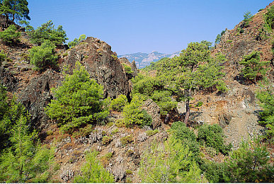 男人和女人上床软件|汽车资讯宝库,驾驶技巧指南,尽在“男人女人床”应用-5