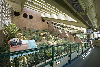 男生女生一起差差｜全新SUV亮相：时尚外观，卓越性能，智能科技，引领潮流生活-2