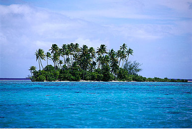 3.03免费OPPO版破解大全免费下载|智能驾驶新体验:免费破解软件助力OPPO车主畅享车联网功能-3