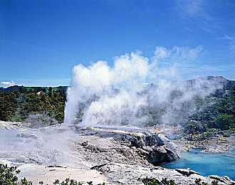 外国人给我吃兴奋剂|中国汽车产业:燃情加速,创新引擎驱动未来-2