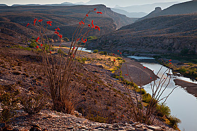 女班长洗澡让我随便摸她的胸|智能汽车系统引热议:人性化设计失误引发道德争议-2