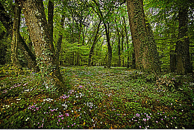 体育生粗口自慰出精18禁网站｜新能源汽车热潮涌动，市场前景广阔，体育生言论意外成热点佐证-1