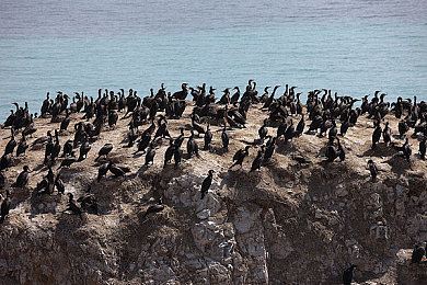 一个在上面吃奶一个添p|动力巅峰,温馨出行——A与B车型共舞市场-1