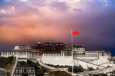 三年中文在线观看免费观看综艺|汽车盛宴,车迷狂欢,探秘速度与改装之旅-1