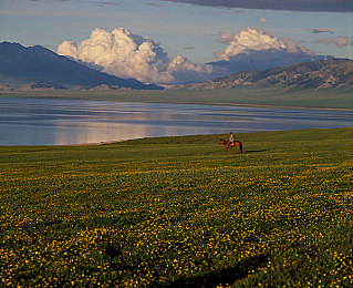 亚洲卡一卡二｜匠心独运，驾驭非凡，尽享速度与激情——揭秘实力派新锐车型-3