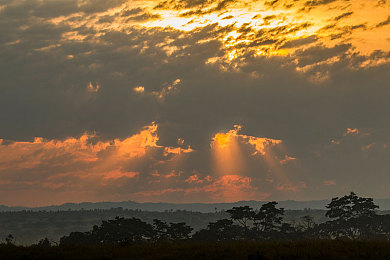黄化版拳皇|“创新力作横空出世!我国黄化版拳皇车型惊艳亮相,引领汽车潮流新风向”-3